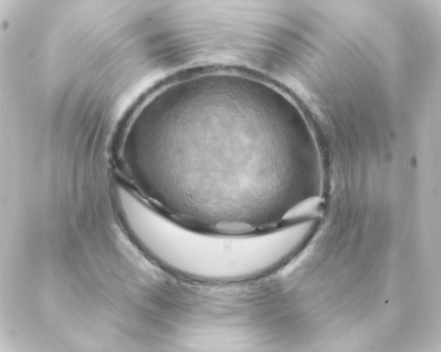 X0000088861118200706221718