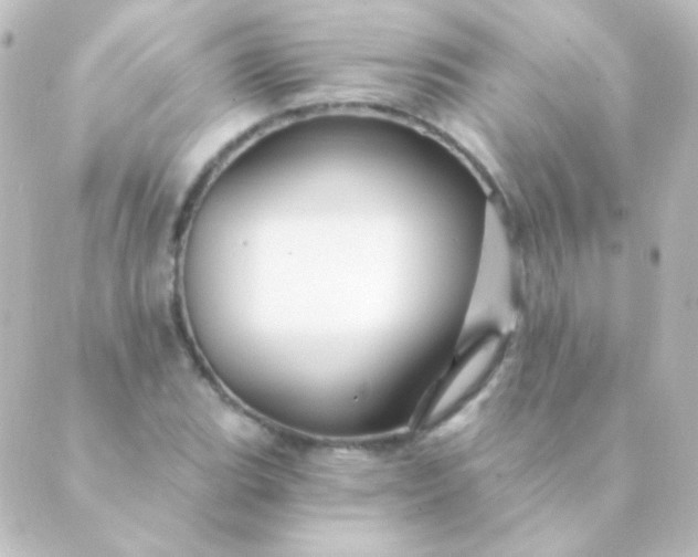 X0000088861119200706221718