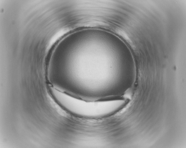 X0000088861122200706221718