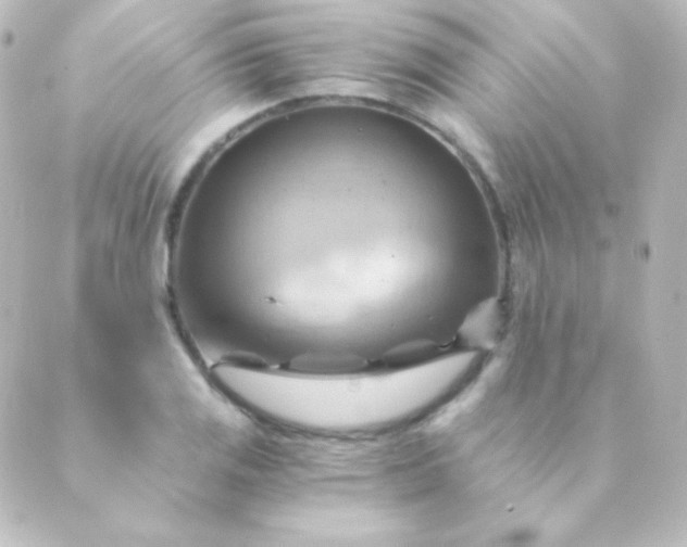 X0000088861125200706221718