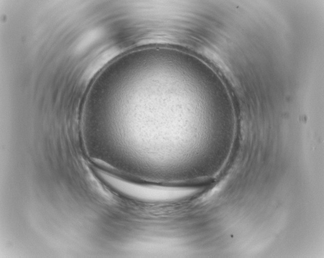 X0000088861129200706221718