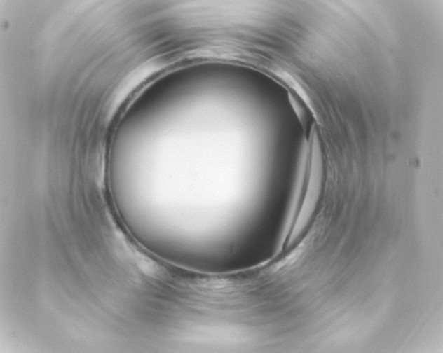 X0000088861131200706221718
