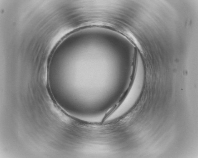 X0000088861132200706221718