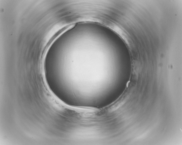 X0000088861140200706221718