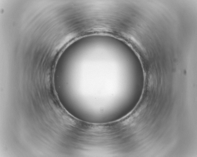 X0000088861162200706221718