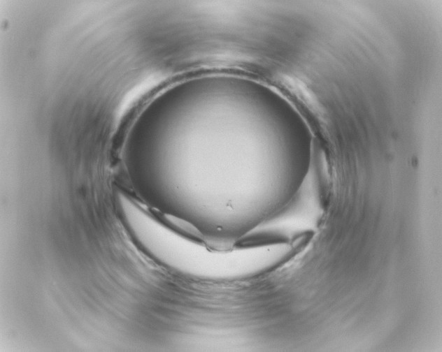 X0000088861164200706221718