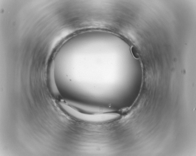 X0000088861172200706221717