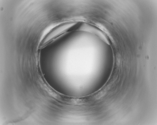 X0000088861176200706221717