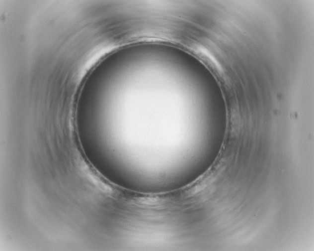 X0000088861182200706221717