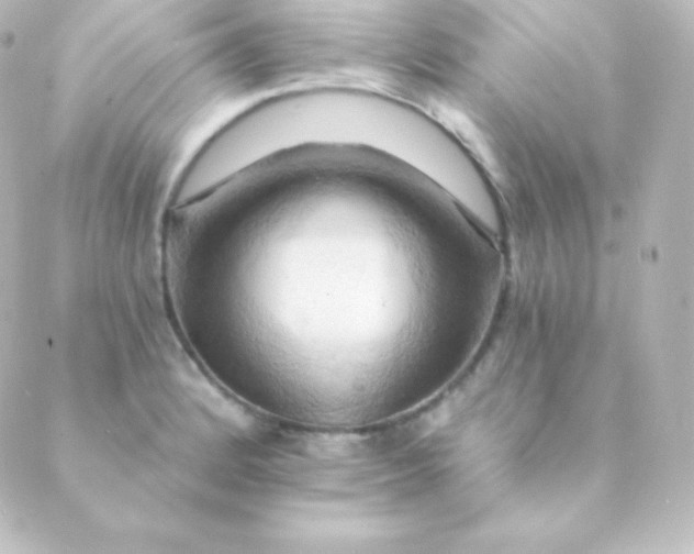 X0000088861184200706221717