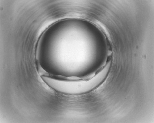 X0000088861192200706221717