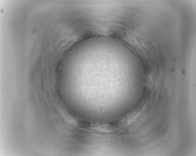 X0000088861201200706221716