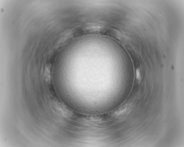 X0000088861203200706221716