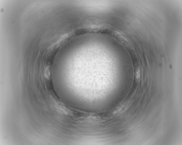 X0000088861204200706221716