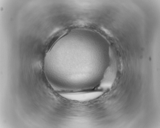 X0000088861206200706221716