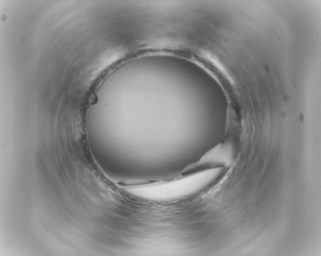 X0000088861213200706221716