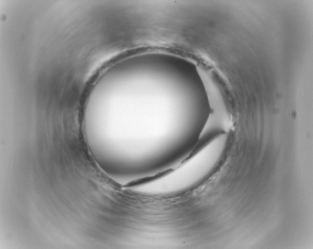 X0000088861214200706221716