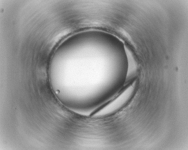 X0000088861218200706221717