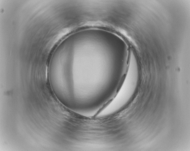 X0000088861221200706221717