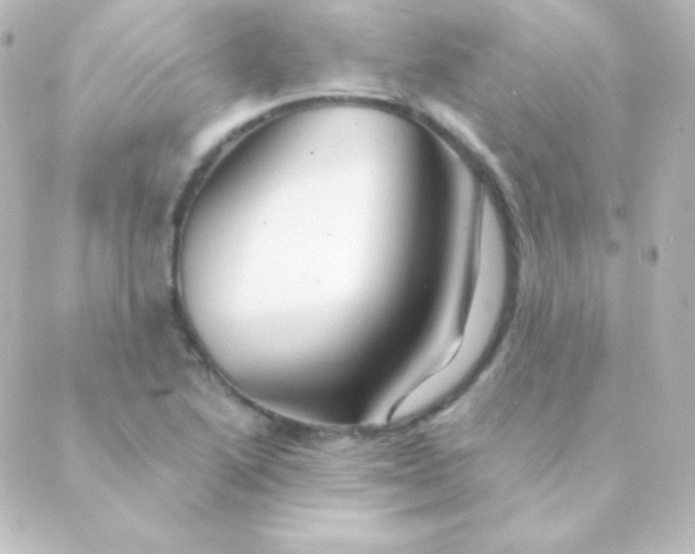 X0000088861222200706221717