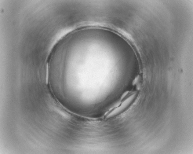 X0000088861223200706221717