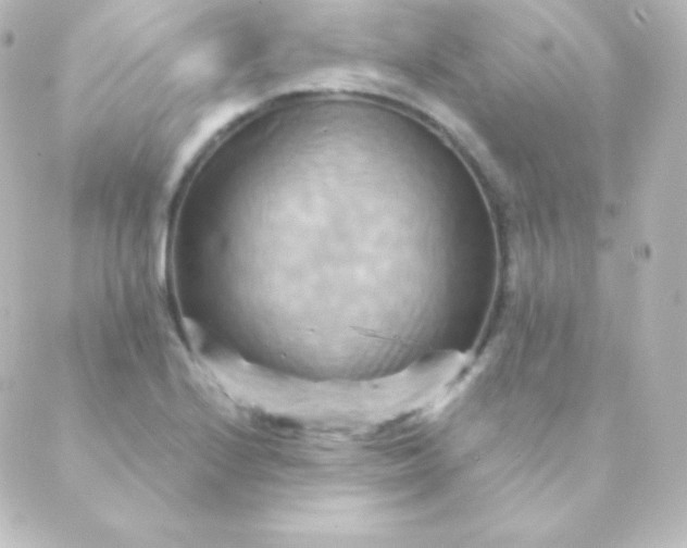X0000088861224200706221717