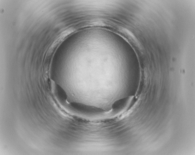 X0000088861225200706221717