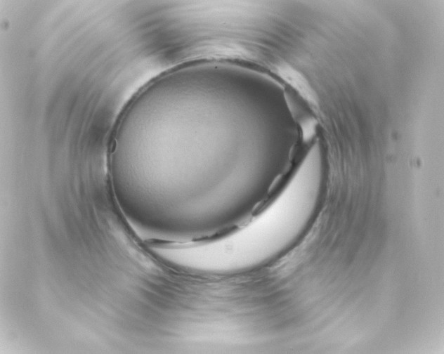 X0000088861226200706221717