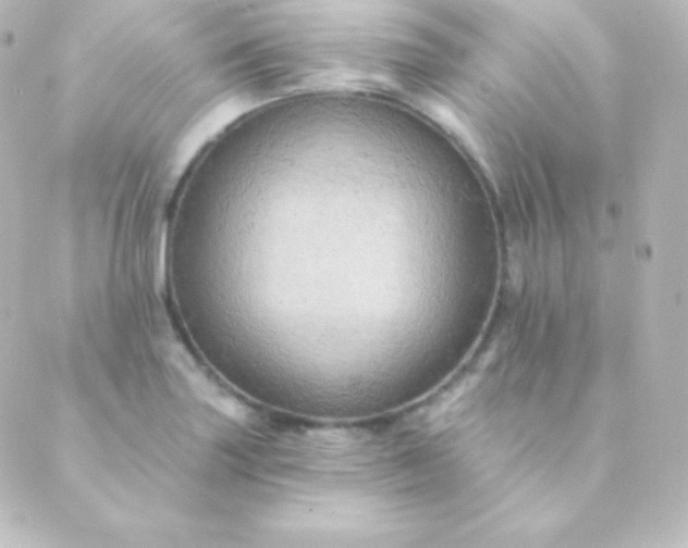 X0000088861227200706221717
