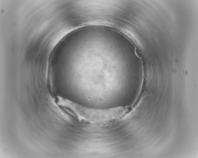 X0000088861228200706221717