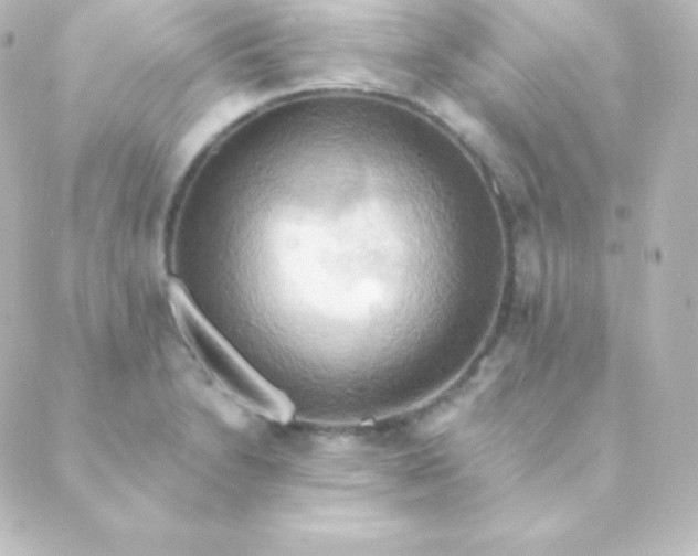 X0000088861230200706221717