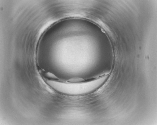 X0000088861240200706221717