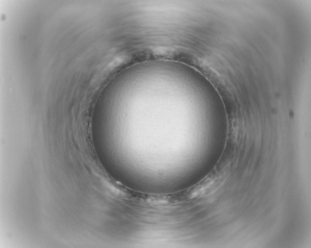 X0000088861249200706221716