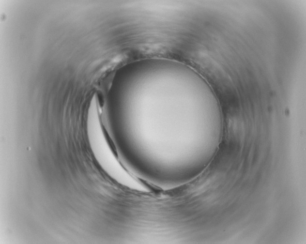 X0000088861250200706221716