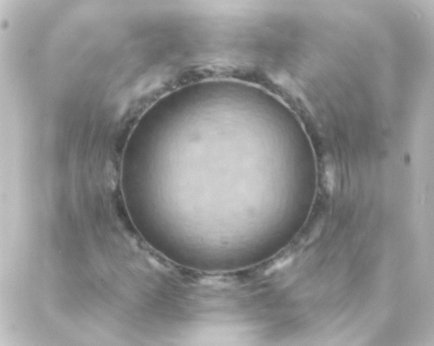 X0000088861253200706221716