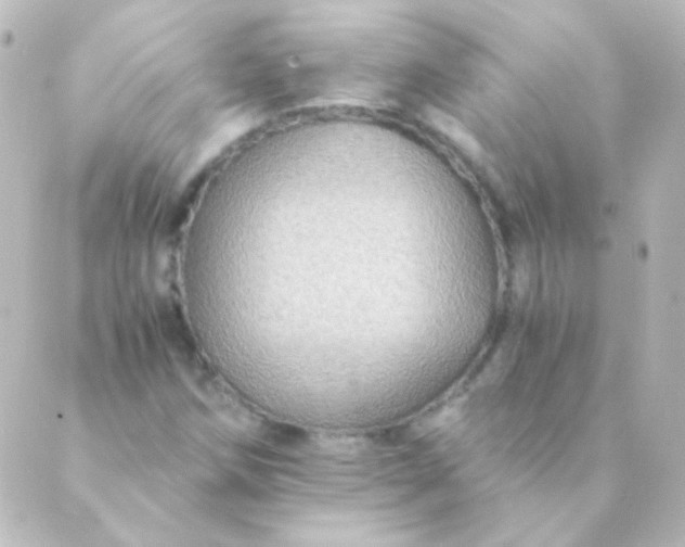 X0000088861258200706221716