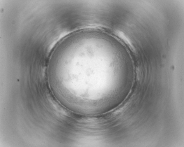 X0000088861260200706221716