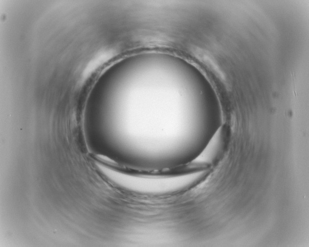 X0000088861261200706221716