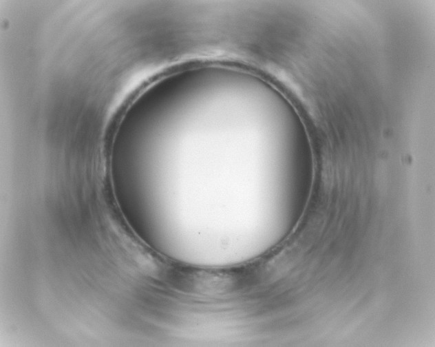X0000088861270200706221716