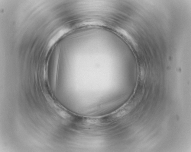 X0000088861274200706221716