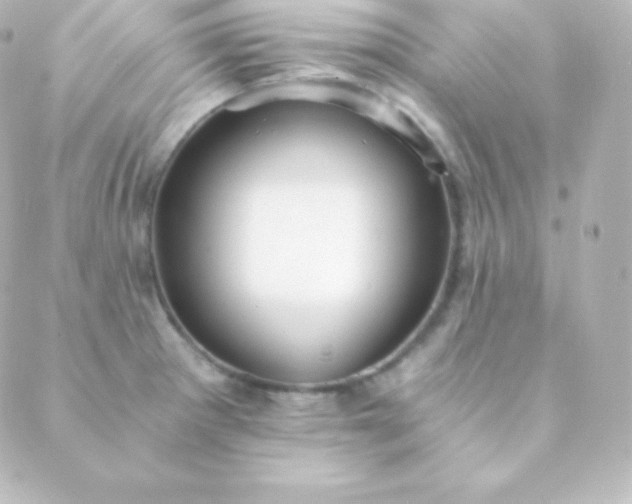 X0000088861281200706221716