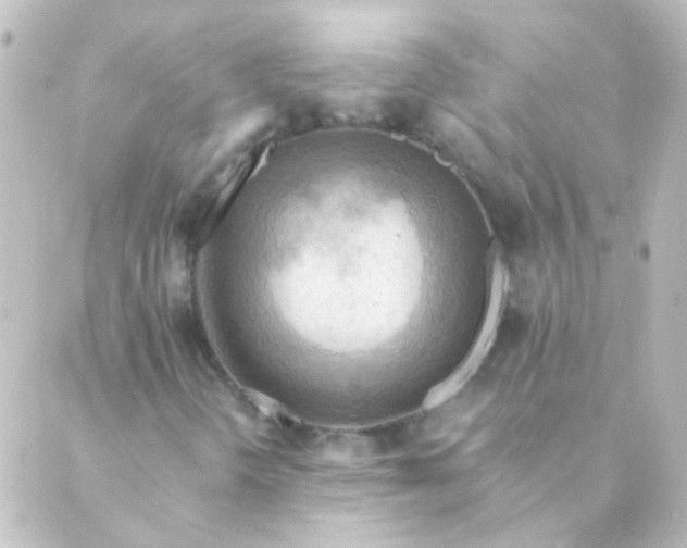 X0000088861298200706221715