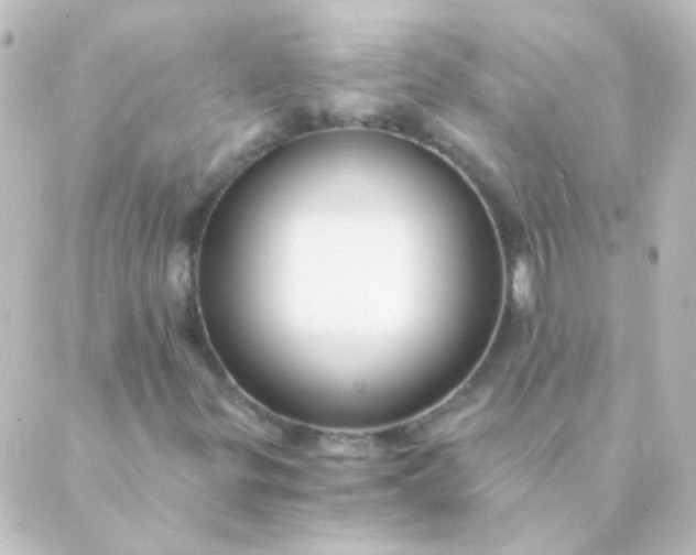 X0000088861299200706221715