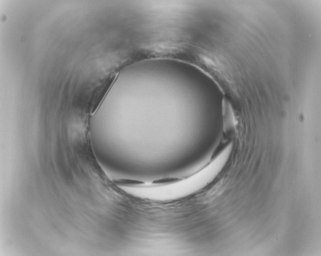 X0000088861300200706221715