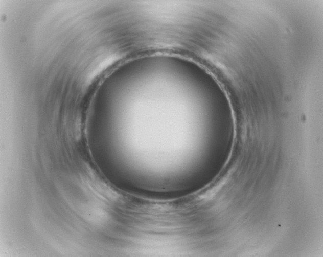 X0000088861306200706221715