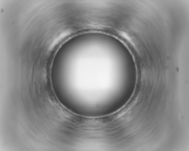 X0000088861307200706221715