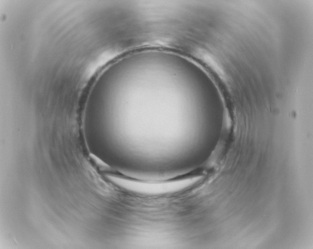 X0000088861308200706221715