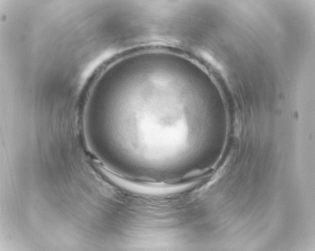X0000088861310200706221715