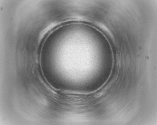 X0000088861318200706221715
