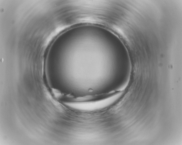 X0000088861323200706221715